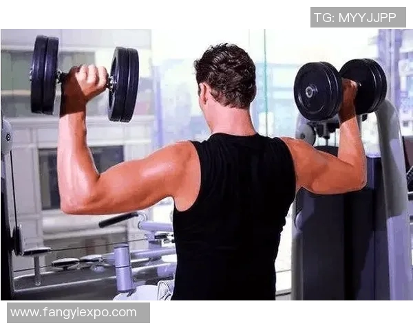 全面提升肌肉力量的健身器材推荐与使用指南