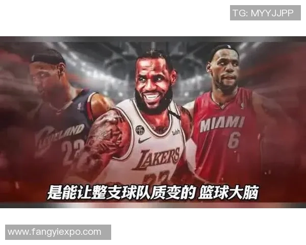 篮球明星背后的故事与成就探秘让我们一起走进他们的辉煌人生
